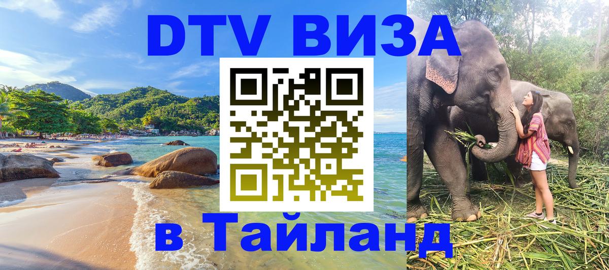 Оформление DTV визы под ключ: стоимость и тарифы, только загранпаспорт - Михайловск 